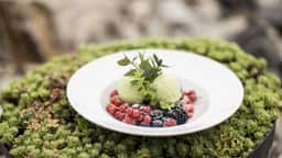 Feature background 3