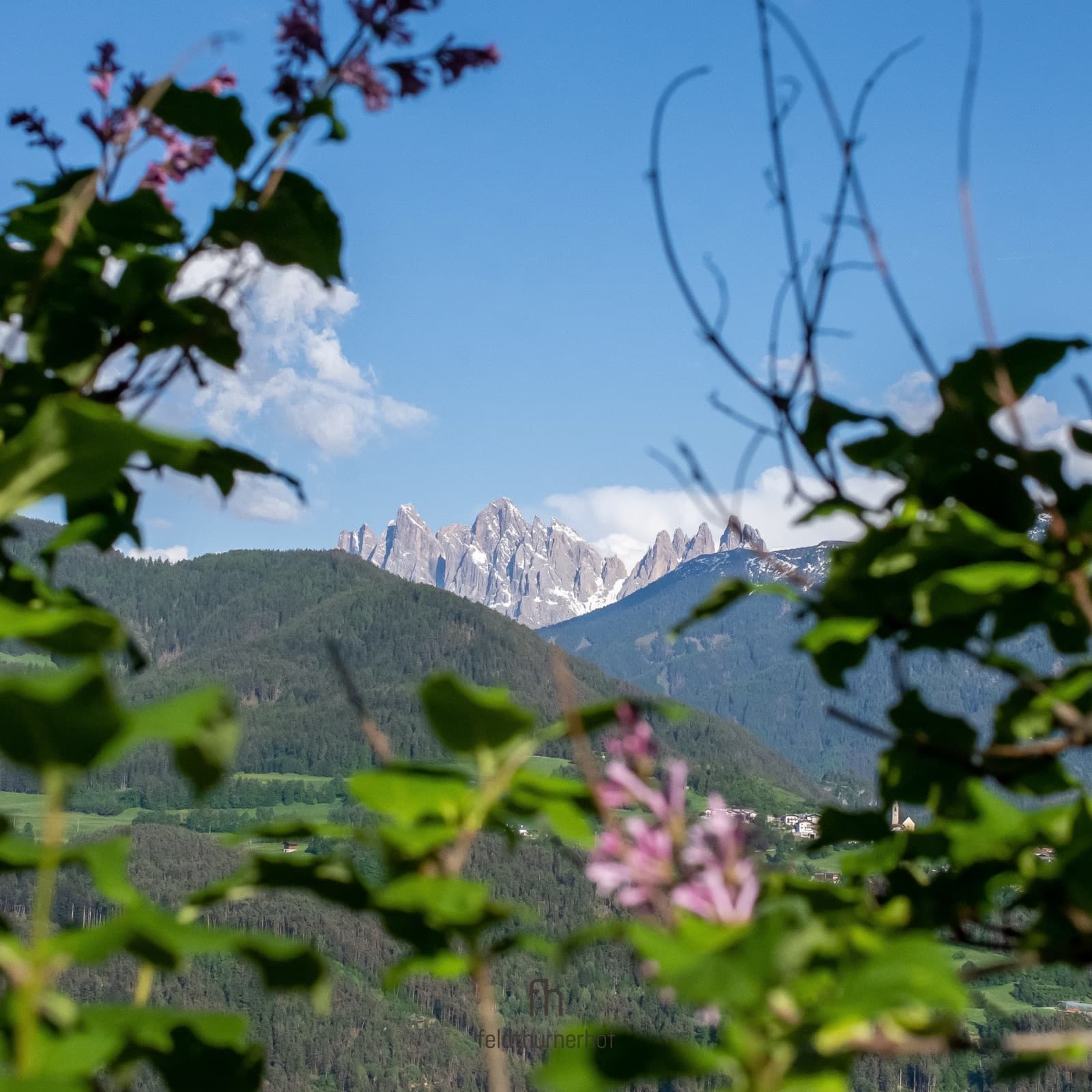 Feldthurnerhof - Wandersommer